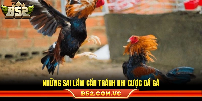 Mẹo Cược Đá Gà Luôn Thắng Từ Người Chơi Lâu Năm Tại B52 4 Những điều cấm kỵ khi vào tiền vào trận gà